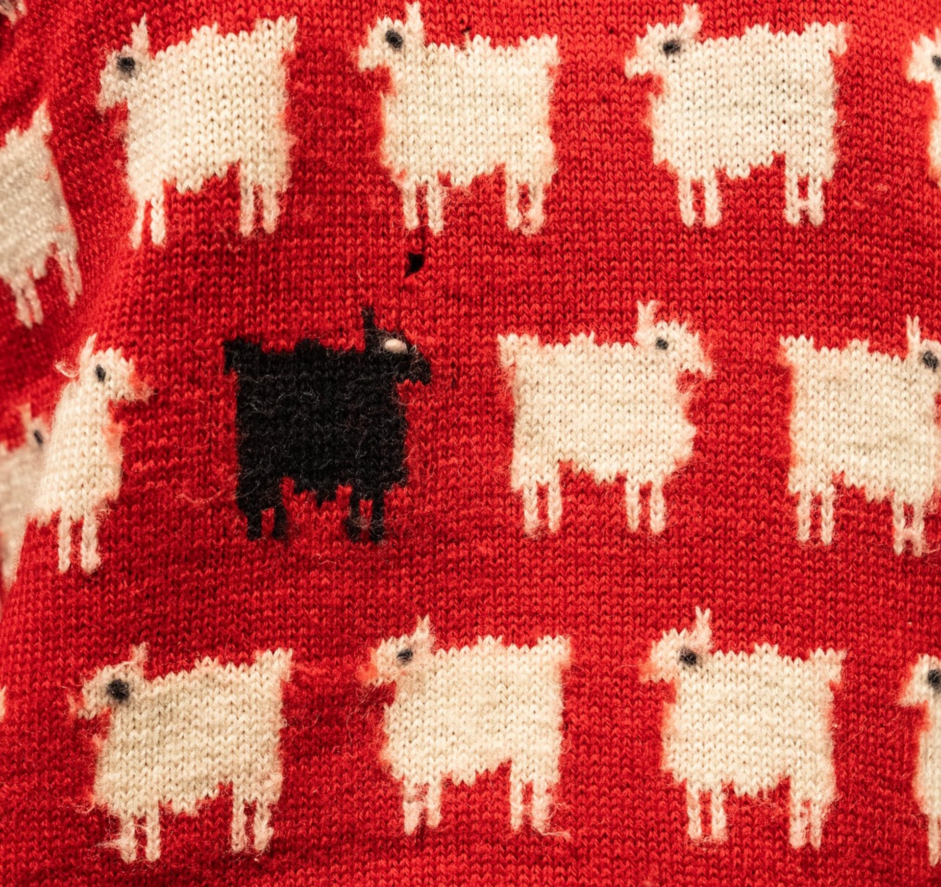 Na červeném svetru jsou bílé ovce uspořádané v řadách a mezi nimi v přední části vyčnívá ze stáda jedna černá.