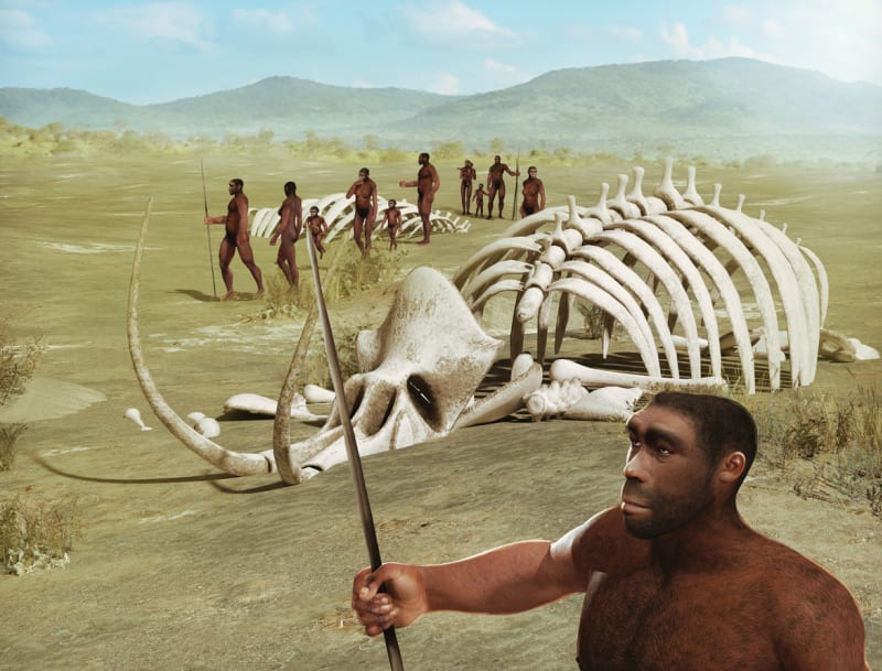 První homo sapiens se objevili asi před 300 tisíci lety