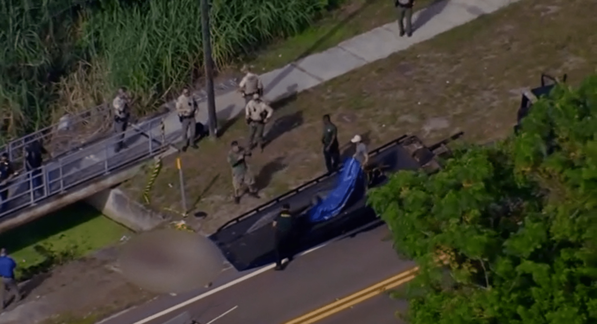 Aligátor na Floridě chodil po ulici s lidským tělem v tlamě.