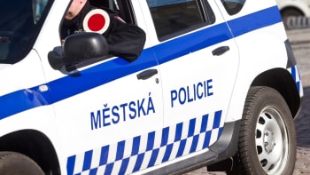 Patnáctiletý mladík ukradl babičce auto. Strážníkům v Hradci se hájil slovy o projížďce