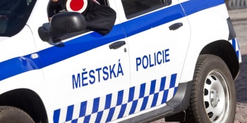 Patnáctiletý mladík ukradl babičce auto. Strážníkům v Hradci se hájil slovy o projížďce