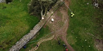 Nejznámější strom v Británii někdo poslal k zemi. Velikána proslavil film o Robinu Hoodovi
