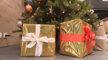 Obchody se převlékají do vánočního, lidé už začali shánět dárky. Kolik budou stát stromečky?