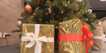 Obchody se převlékají do vánočního, lidé už začali shánět dárky. Kolik budou stát stromečky?