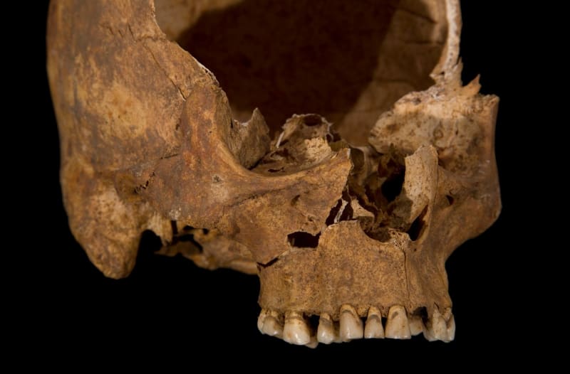 Lebka Richarda III.