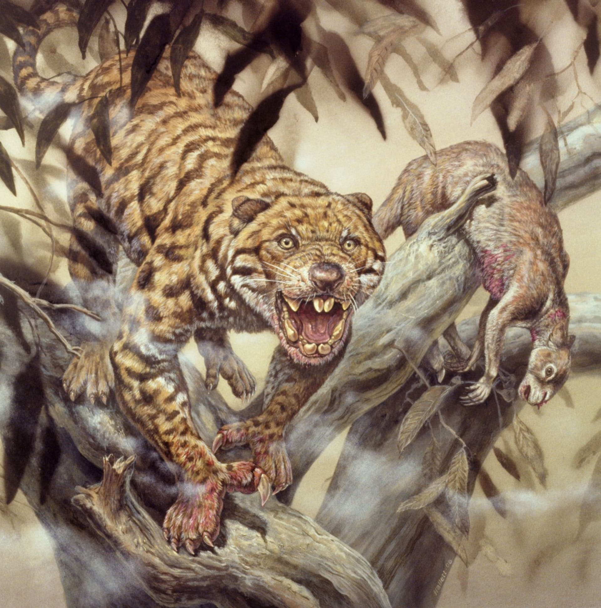 Ilustrace predátora Thylacoleo carnifex