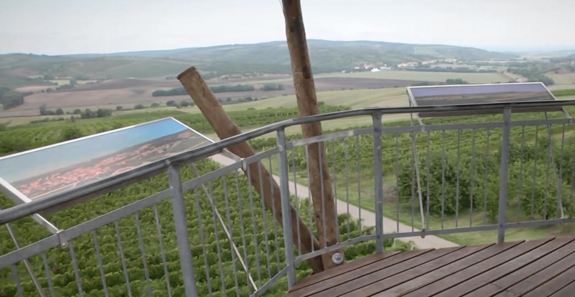 Výhled na vinice ve Velkých Pavlovicích, oblíbený pohled nejen vinařů.