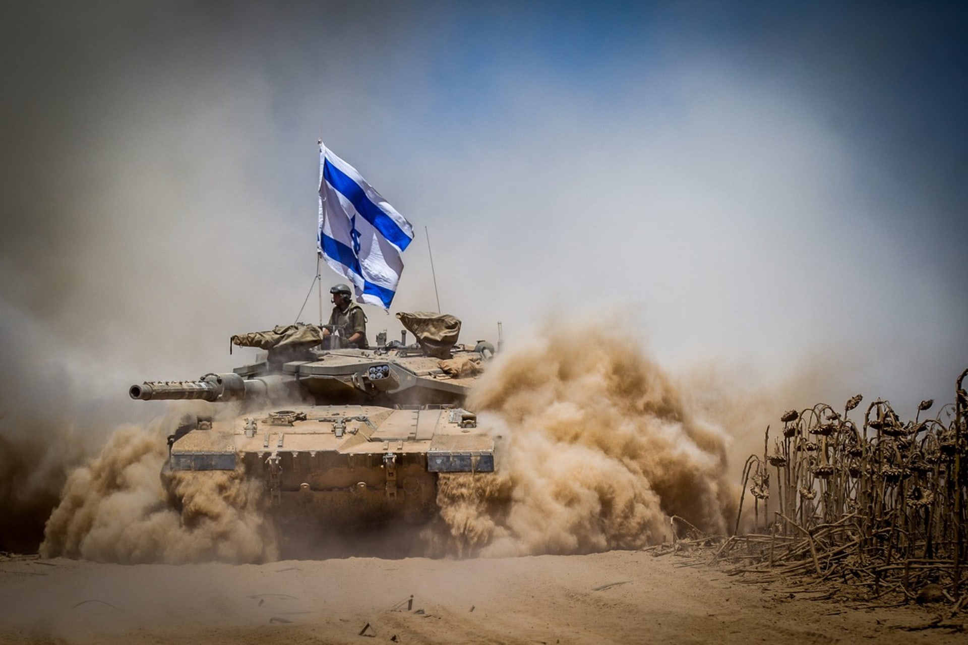 Izraelské vojsko