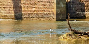 Hrůzný nález v centru Nitry. Řeka vyplavila mrtvolu, tělo může patřit nezvěstnému muži
