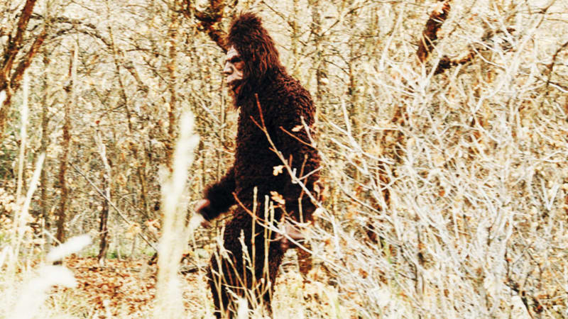 Nahrávky Bigfoota nebývají moc kvalitní (ilustrační foto)
