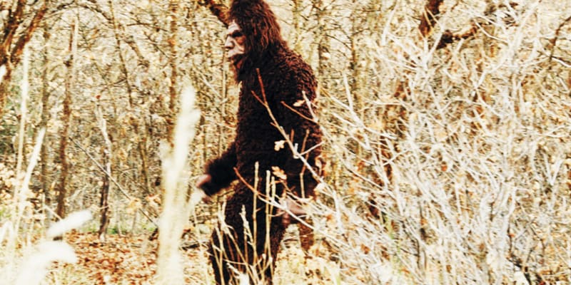 Nahrávky Bigfoota nebývají moc kvalitní (ilustrační foto)