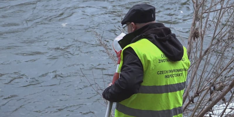 Kauza otrávených ryb zasáhla i do nejvyšších pater české politiky.