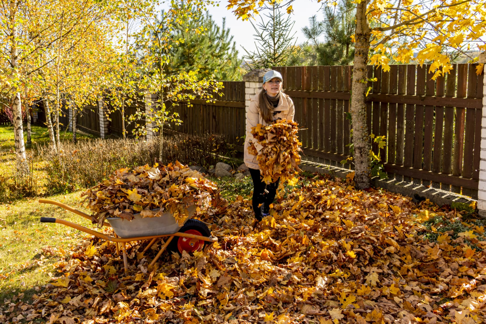 Jak se postarat o spadané listí na zahradě