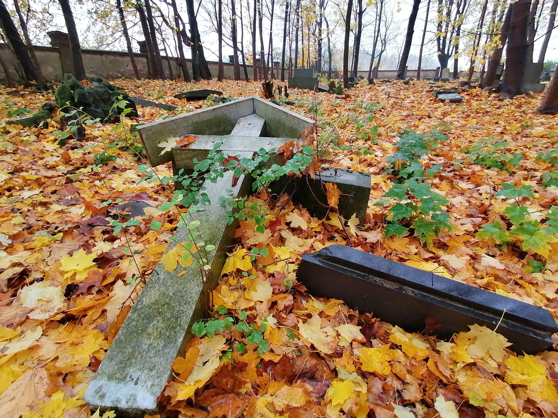 Německý hřbitov v Krnově-Chomýží chtěla radnice brutálně zlikvidovat. Nyní ho zachraňuje iniciativa Zachraňme Chomýž, kterou založil Martin Chalupa a Martin Plaček. Na snímku stav hřbitova v roce 2020