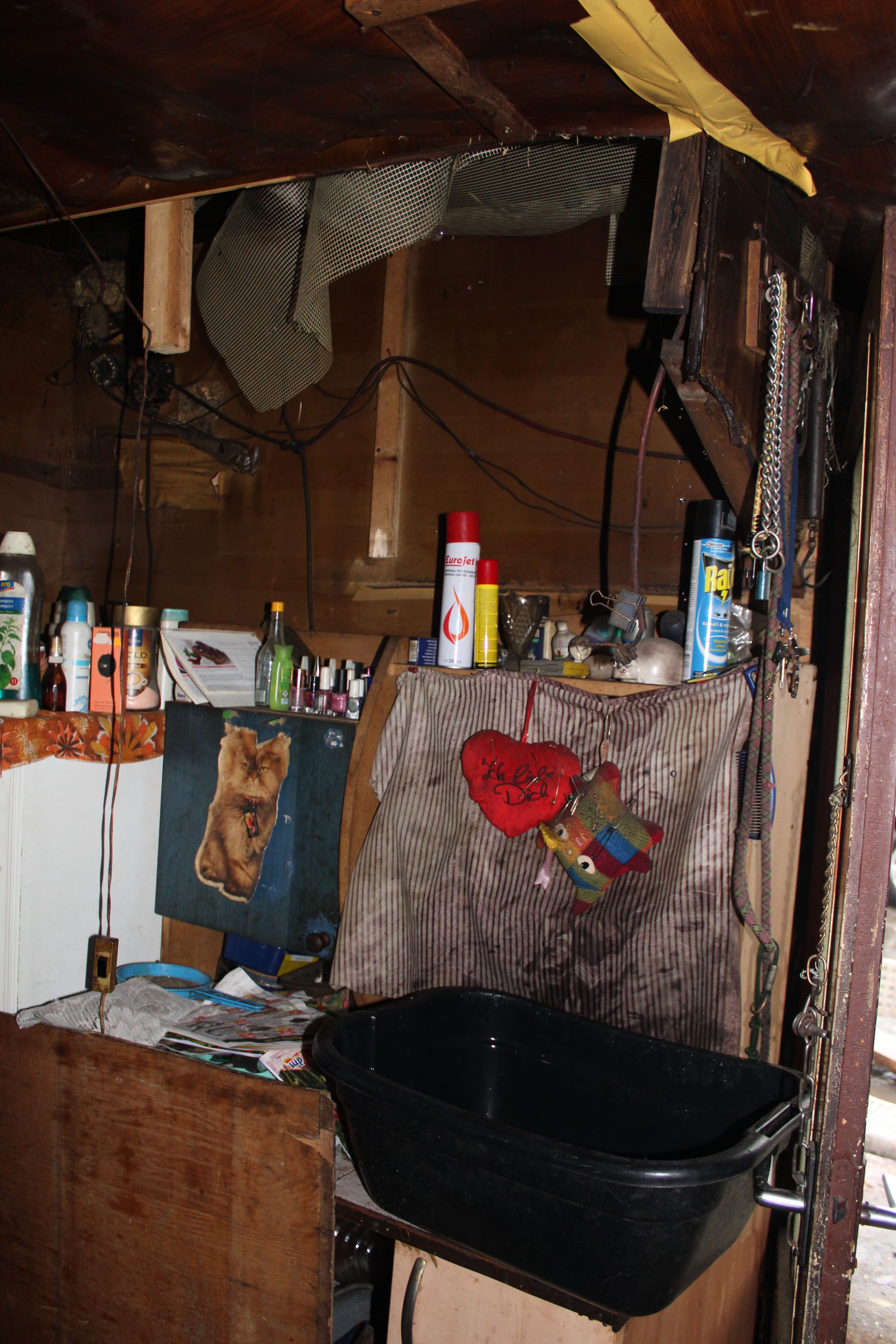 51letá Dagmar Paláková bydlí v garáži s kočkami a andulkami. Teď jim ale do provizorního bydlení prší. Detail stropu, kudy každý déšť proniká do garážového bytu.