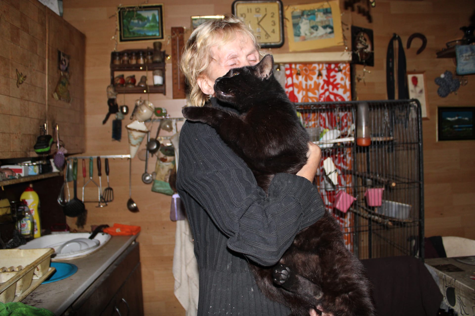 51letá Dagmar Paláková bydlí v garáži s kočkami a andulkami. Teď jim ale do provizorního bydlení prší.