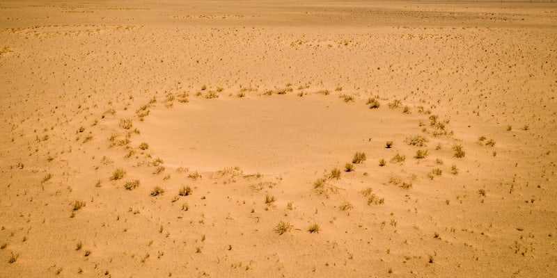 Kruhy v Namibii lze vědecky vysvětlit