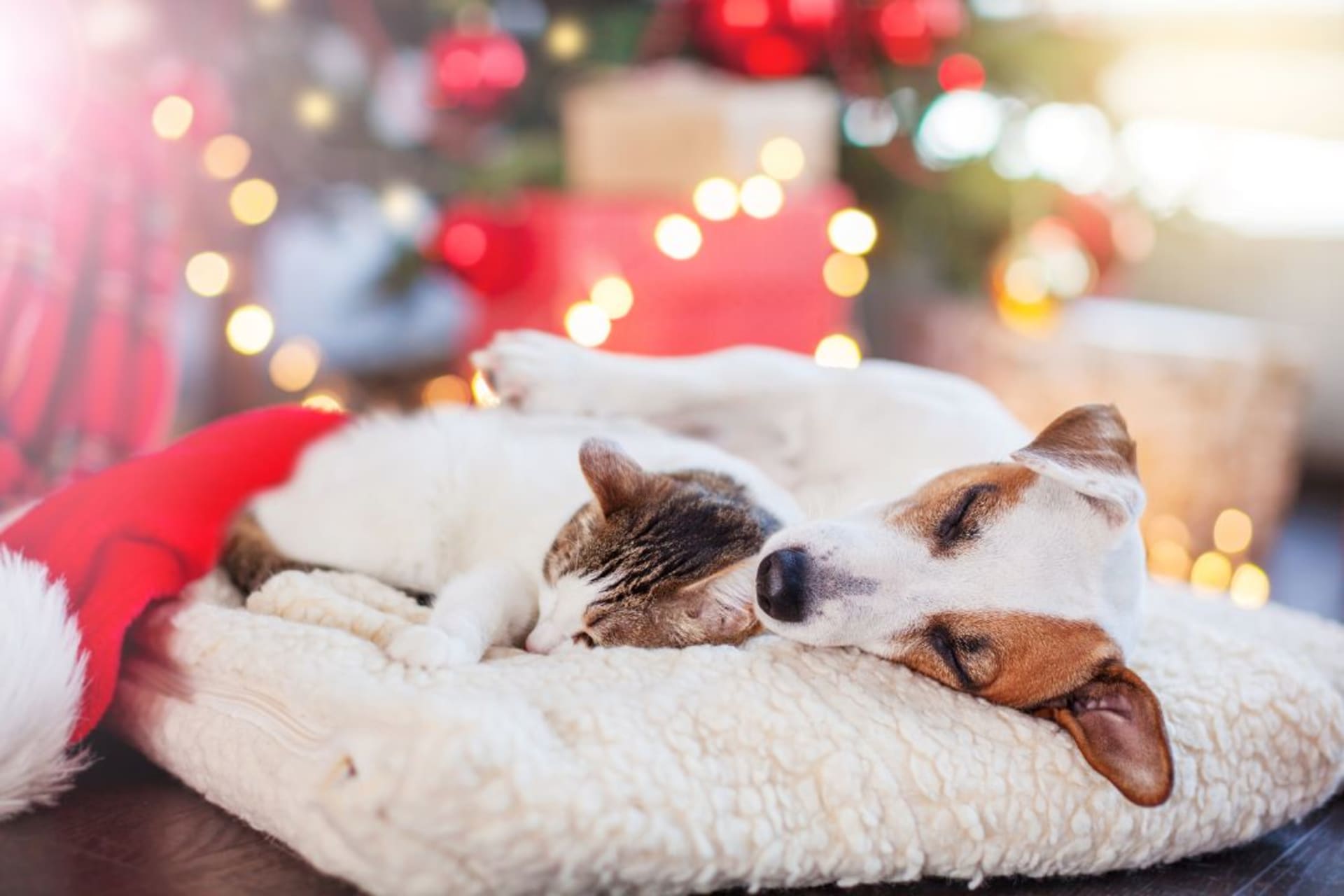 Darujte dokonalý spánek: Tipy na dárky pro blízké