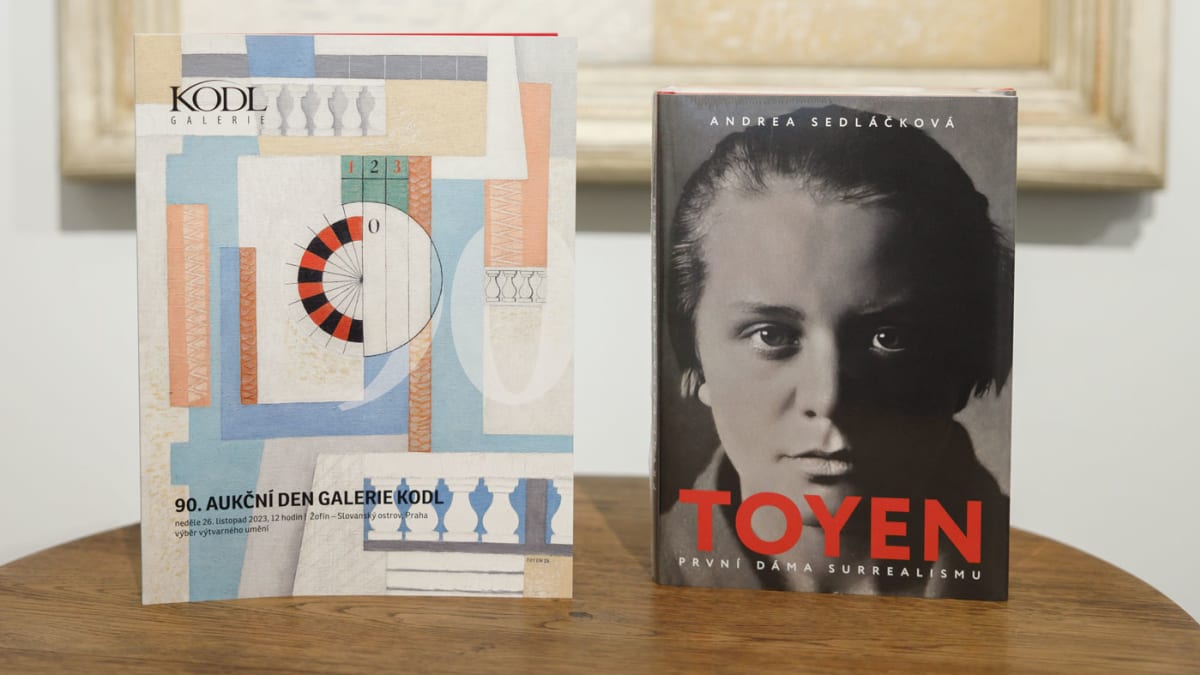 Katalog a kniha o Toyen