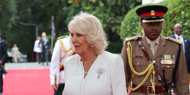Královna Camilla si ozdobila broží bílé elegantní šaty.