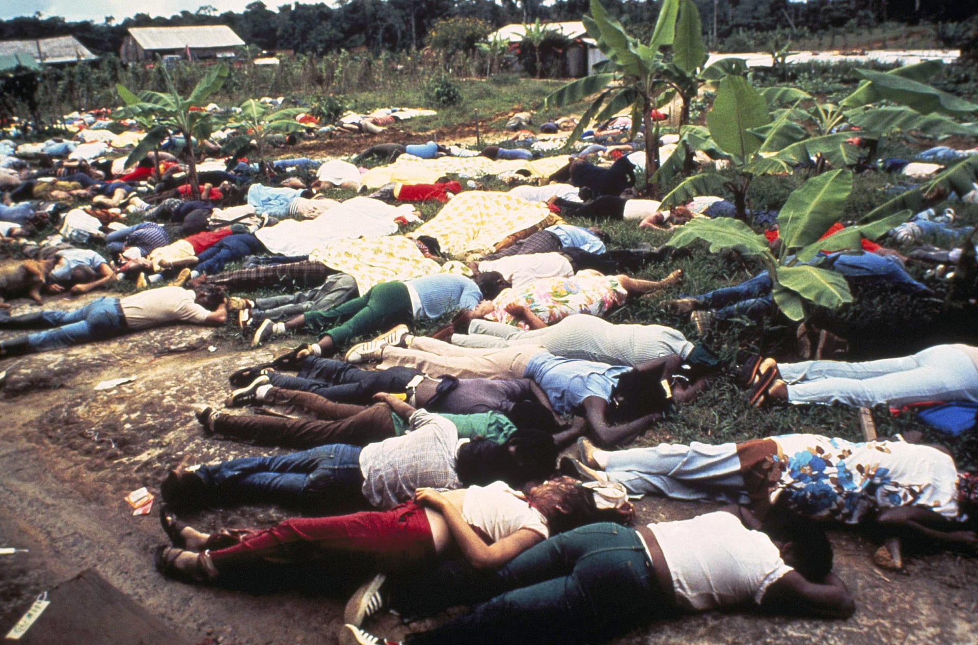 Jonestown posetý mrtvými těly členů sekty