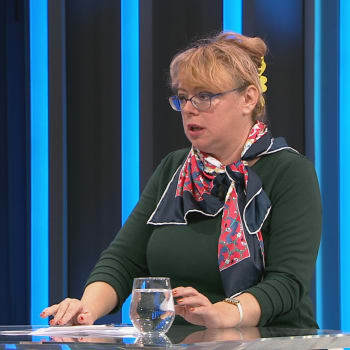 ekonomka Ilona Švihlíková