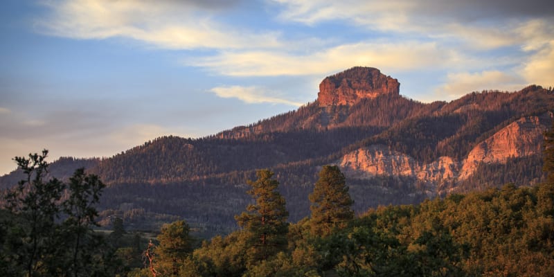 Pohoří San Juan v Coloradu, kde fenka přežila dva měsíce poté, co její páníček zemřel během túry