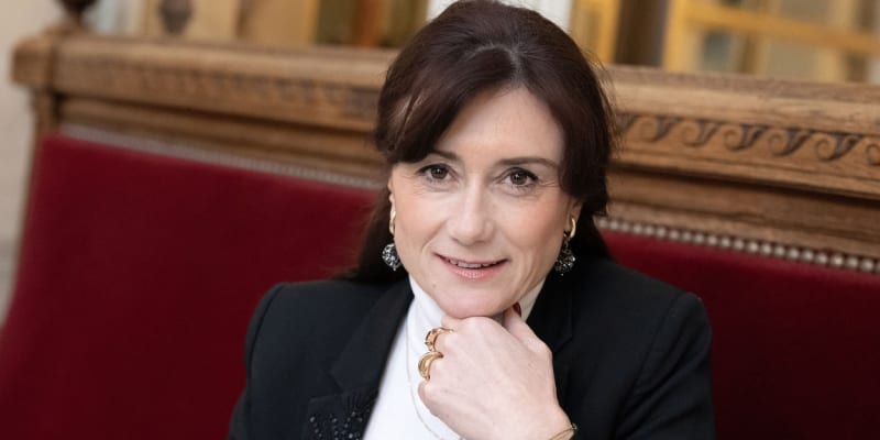 Poslankyně Sandrine Jossová obvinila senátora Guerriaua z pokusu o sexuální napadení.
