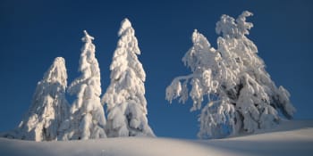 Rakousko a Německo budou drtit přívaly sněhu. Napadnou dva metry, hrozí úplný kolaps dopravy