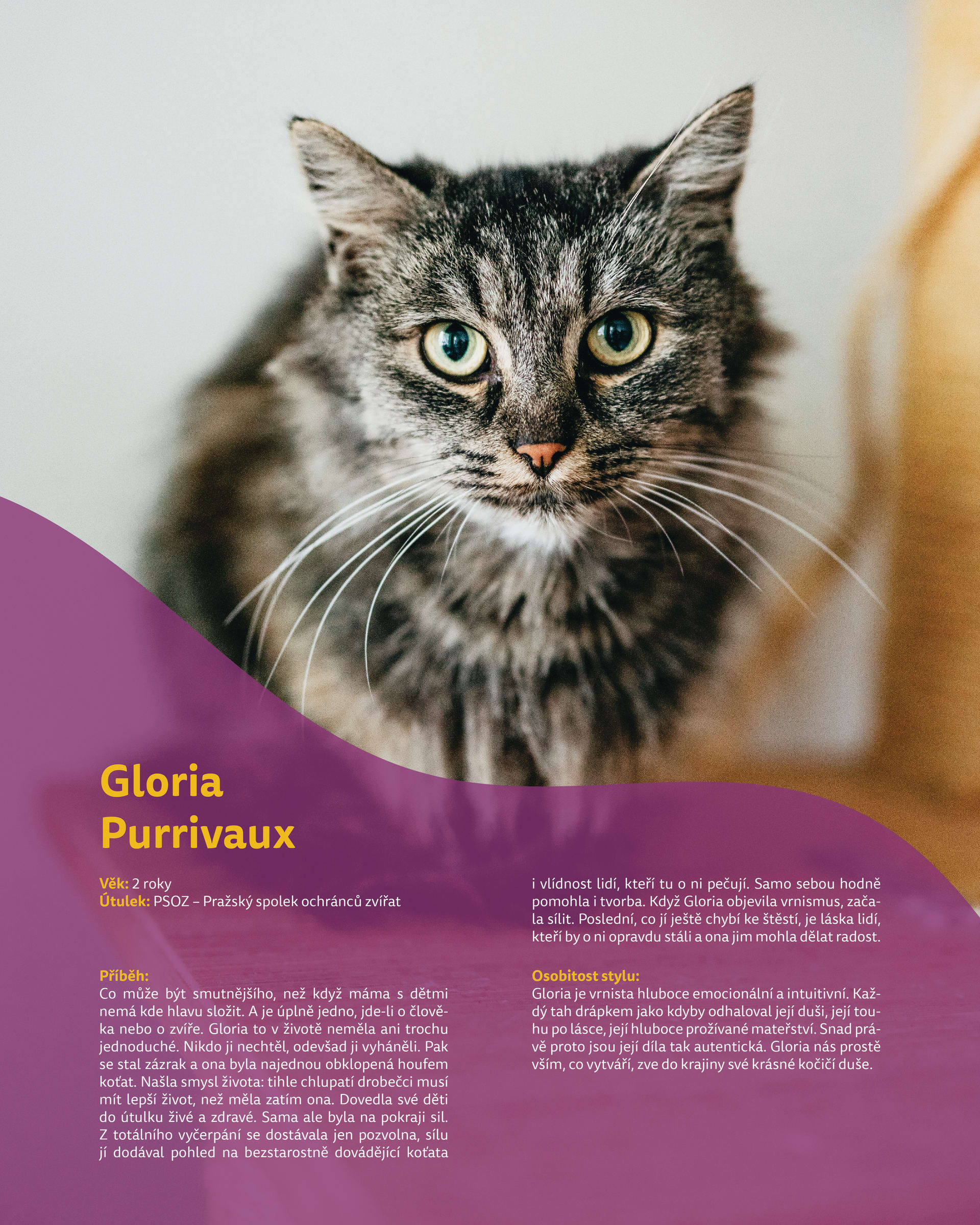 Kočičí designérka Gloria