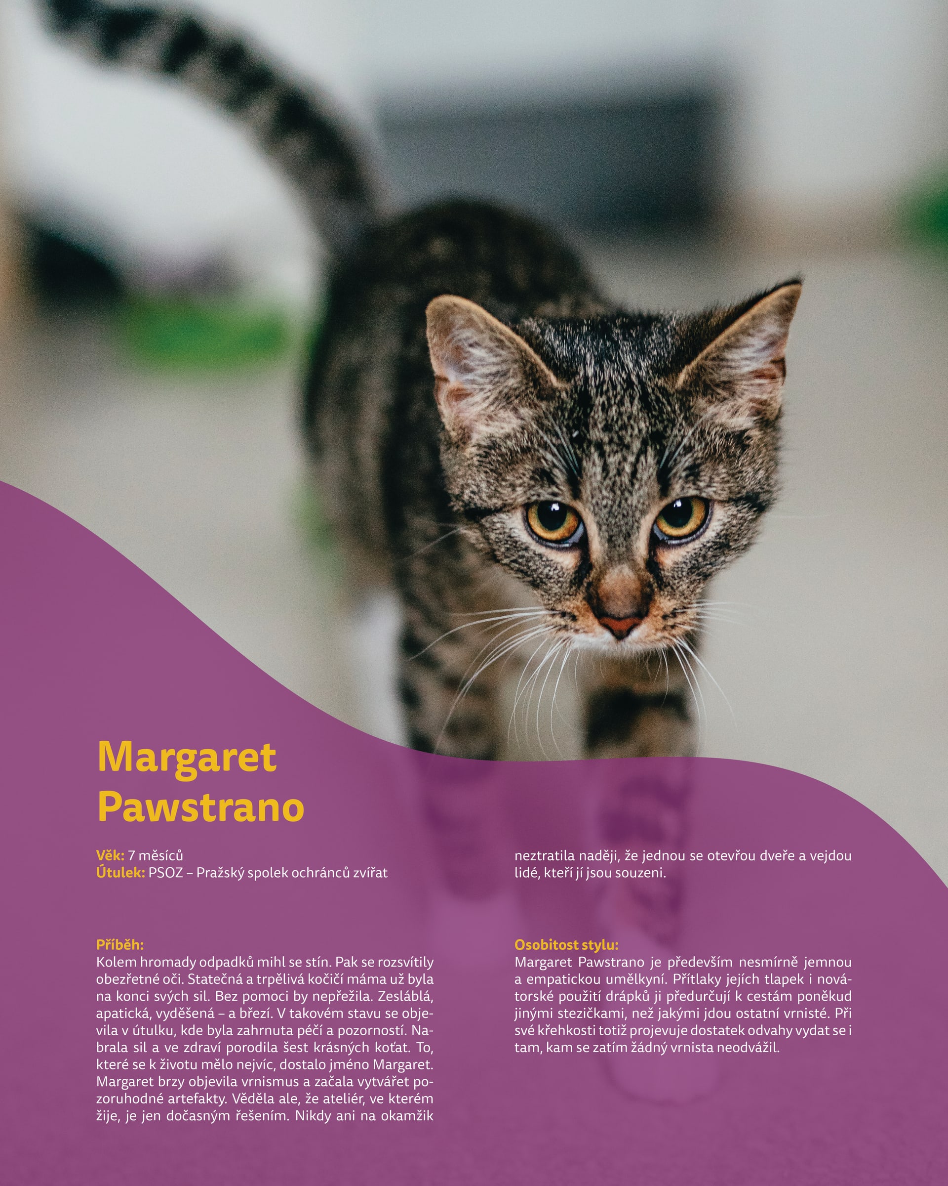 Kočičí designérka Margaret