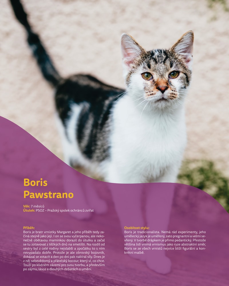 Kočičí designér Boris