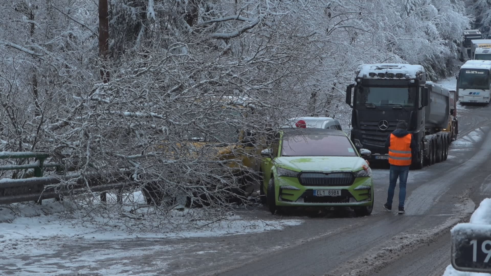 Sníh v Česku způsobil kalamitu.