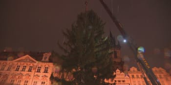 Na Staroměstském náměstí už stojí vánoční strom. Zdobení potrvá několik dní