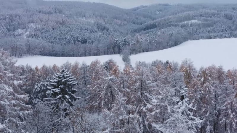 Sníh v Česku. 