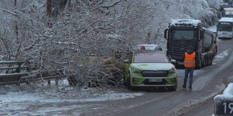 Sníh v Česku způsobil kalamitu.