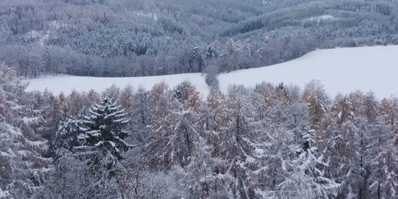Sníh v Česku. 