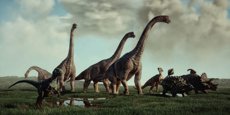 Jak dlouho vlastně žili ti největší dinosauři? 