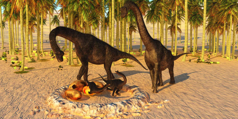 Dinosauří mláďata rostla velice rychle