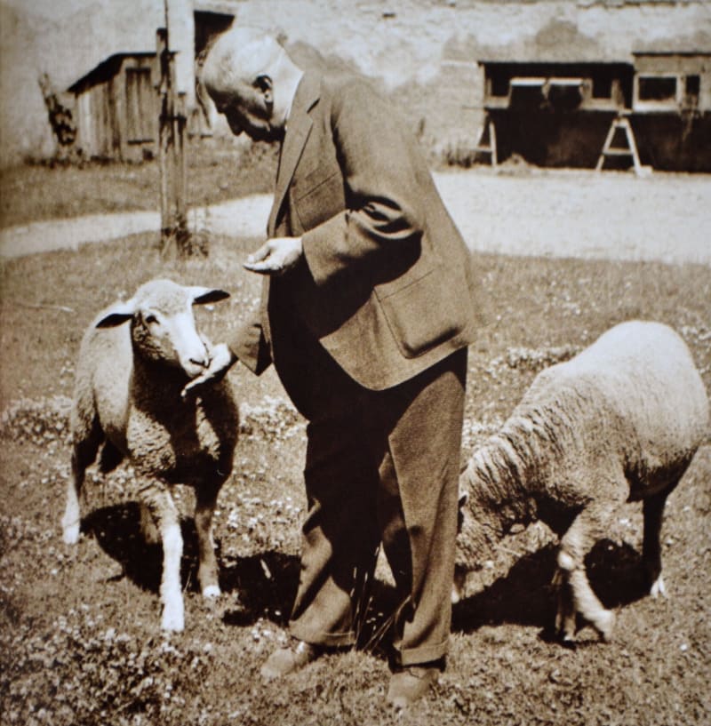 Hácha s ovečkami, 1942.