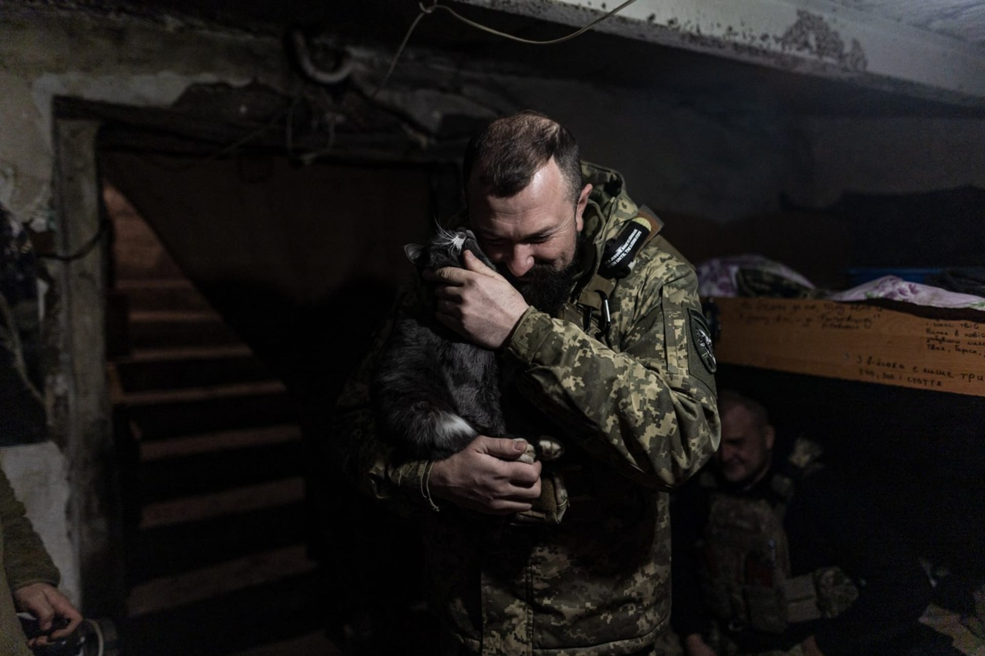 Kočky zachraňují ukrajinské vojáky před invazí myší a krys.