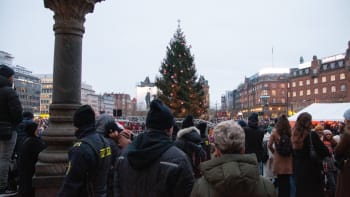 Aktivisté postříkali barvou vánoční strom v Kodani. Sebestřední spratci, říká tamní poslanec