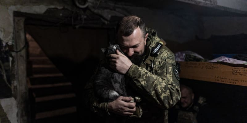 Kočky zachraňují ukrajinské vojáky před invazí myší a krys.