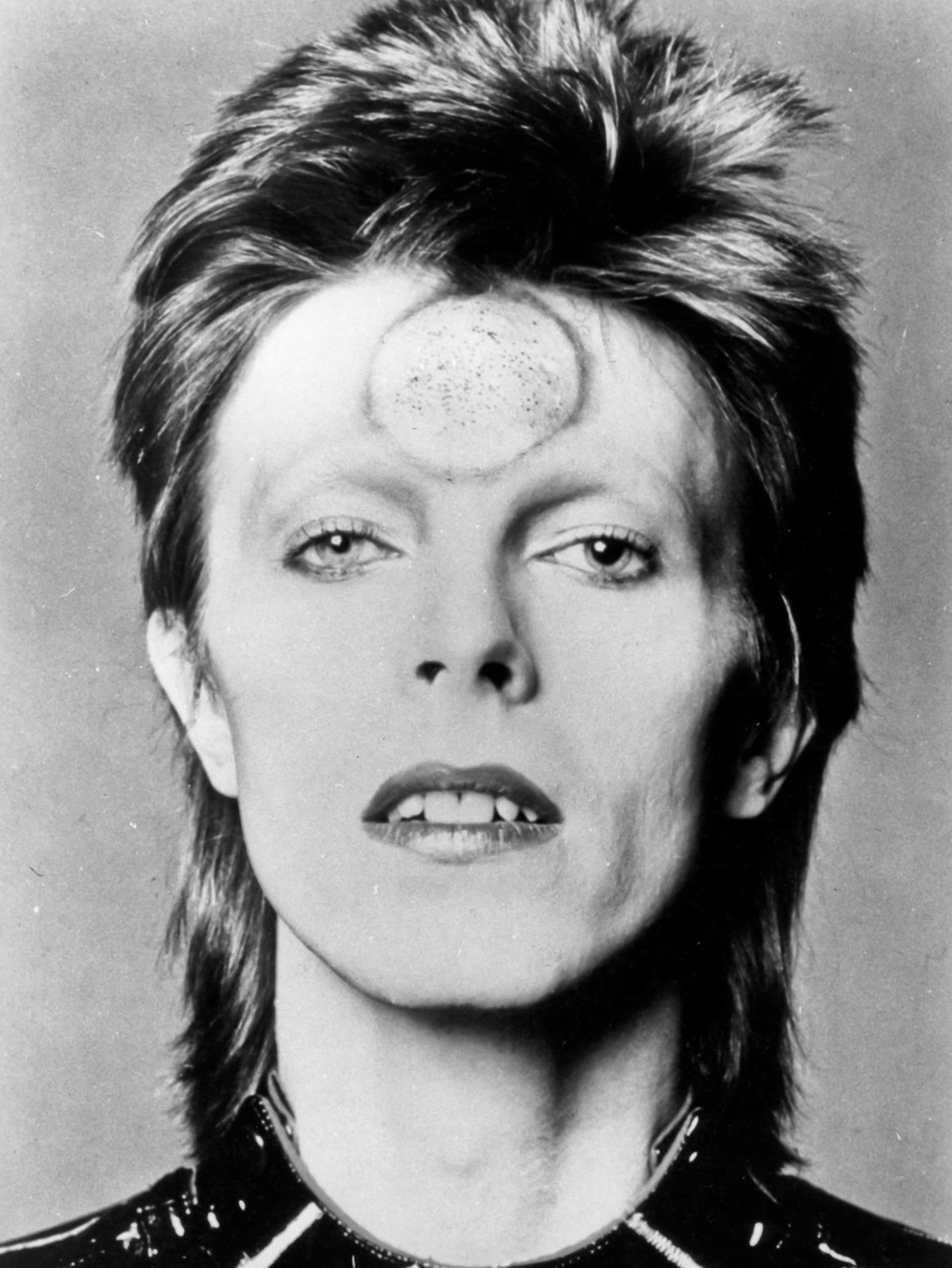 Hudební legenda David Bowie také propadl tomuto módnímu trendu