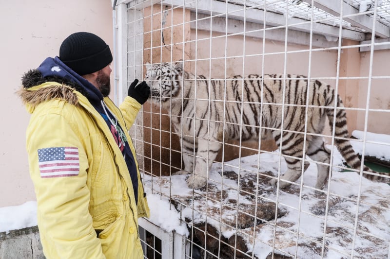 Karlos Vémola musel odevzdat svou bílou tygřici Antonii Rambu úřadům. 