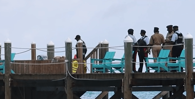 Ke krvavému útoku žraloka došlo v pondělí v oblíbeném turistickém letovisku v Nassau na Bahamách. Predátor pokousal 34letou turistku z Bostonu, která měla na ostrově trávit líbánky se svým novomanželem, s nímž si vyrazila na projížďku na paddleboardech....