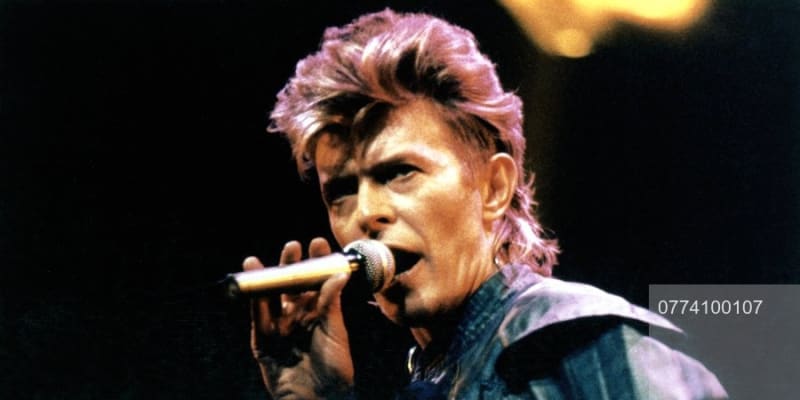 Hudební legenda David Bowie také propadl tomuto módnímu trendu