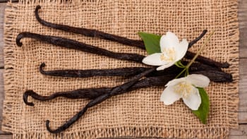 Zorientujte se! Jaké jsou rozdíly mezi pravou vanilkou, přírodními variantami i syntetickými náhražkami  