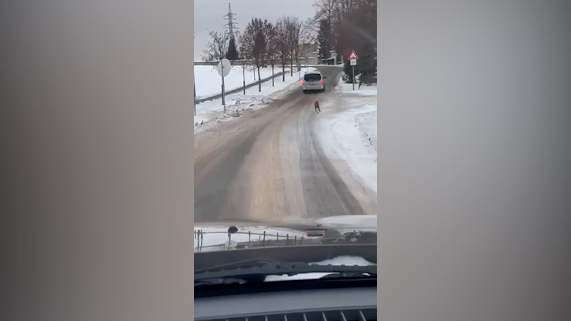 Řidič na Liberecku venčil psa za svým autem.