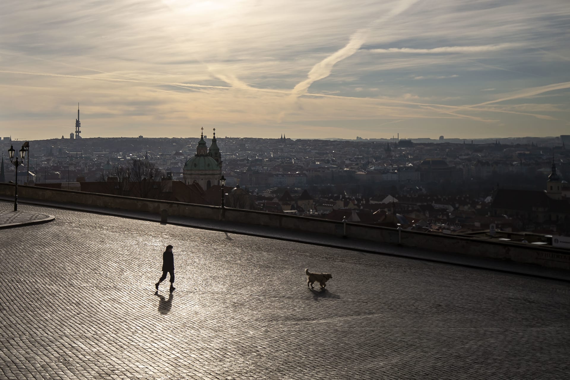 Je Praha dostatečně dog - friendly?